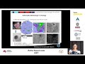 automated mineralogy technique overview