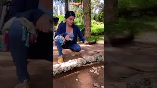 Sunny Leone മരം വെട്ടാൻ ഇറങ്ങി തിരിച്ചപ്പോൾ 😅🪓🌳