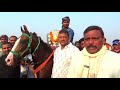 bihar horse race date shivanand singh horse race in hilsha nalanda bihar