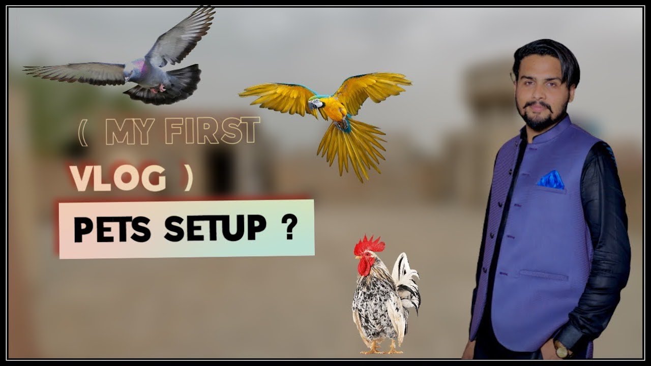 My First Vlog Pets Setup Youtube