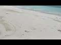 Vanish Mistery | Afro House |by Zvezdelin Zlatev & ZUZAKA RECORDS #fyp #viral #summervibes #explorer