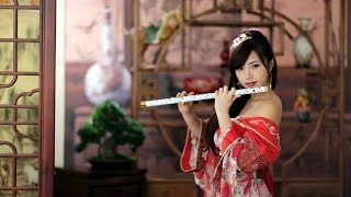 Beautiful Chinese music Instrument - Endlesslove [10 different songs]