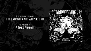 Blackbriar - The Evergreen and Weeping Tree (Official Audio)