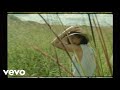 Japanese Breakfast - The Body Is A Blade (Video)