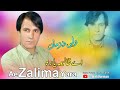 Wali Darman Pashto New Song 2024 | Ae Zalima Yara | Pashto New Song 2024