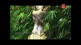 Wonder Of Asia | Brief Garden - Bevis Bawa