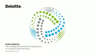 The challenges for international organisations of a complex global workforce