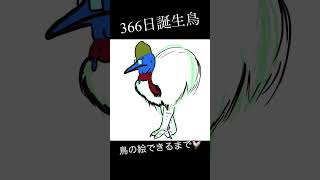 【誕生鳥イラスト】ヒクイドリ【2月19日】Cassowary