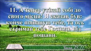 ВідеоБіблія Числа розділ 24 Огієнка