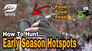 Early Bow Season Food Source Hunting Strategy