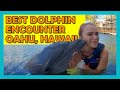 Dolphin Quest Encounter Review | Kahala Resort | Oahu Hawaii