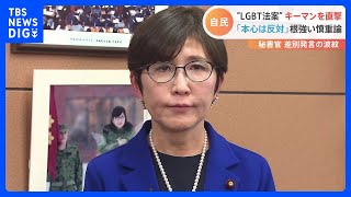 LGBT理解増進法案どうなる？「本心では反対」自民党内には慎重な声も　推進派の稲田朋美氏は｜TBS NEWS DIG