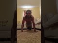 Quick different Mike Tyson push-ups with single leg workout 💪🏾