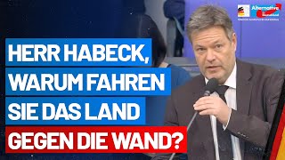 AfD-Fraktion grillt Habeck und Schulze! - Regierungsbefragung