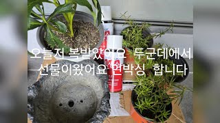 두군데에서 선물받은 아이들 언박싱  합니다