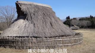 菜の花と縄文の宝庫「加曽利貝塚」を巡る 春の里山散策 2014