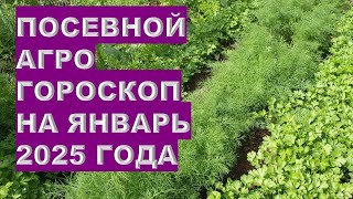 ЯНВАРЬ 2025: СУПЕР Дни Для Посадки Овощей и Цветов!