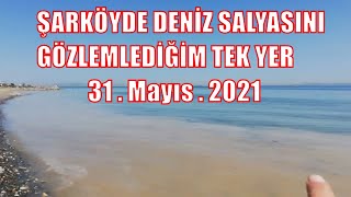 ŞARKÖYDE DENİZ SALYASI GÖZLEMLEDİĞİM TEK YER  = 1008 =