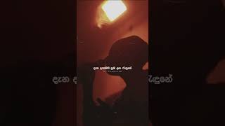 Lakshitha Mihiran - Mulawe [මුලාවේ] Acoustic Viortion - Status And Lyrics Video