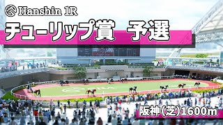 【ダビスタSwitchBC】2023年3月4日 チューリップ賞 予選