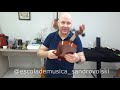 ajustando um violino