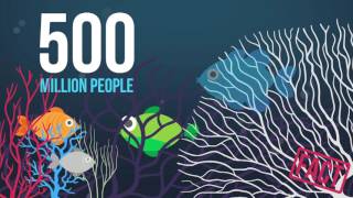 Climate Change Animation Shows Devastating Effects