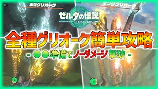 【ティアキン】全種グリオークノーダメ攻略余裕！●●の準備で誰でも撃破可能！【ティアーズオブザキングダム  小ネタ】