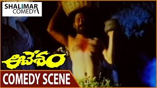 Aavesham Movie || Mukka Narsing Rao & Madhu Bala Comedy Scene || Rajasekhar, Nagma || Shalimarcomedy
