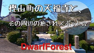 【長崎】樫山町にある天福寺とオススメ癒しスポット☆【HD1080P】