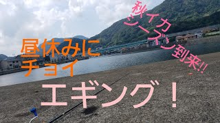 【エギング】秋イカシーズン到来‼ 長崎県時津町日並バイパスの橋の下の先の防波堤 2020年9月10日 スミイカ／モンゴウイカ／甲イカ （エギはエメラルダス（ロッドはエメラルダス（リールはSTELLA