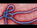 Conspiracy, myths and misconceptions about Ebola