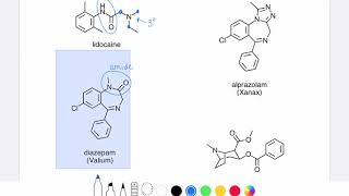 18.1 \u0026 18.2 Structure of Amines and Amides