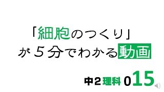 中2理科　細胞のつくり