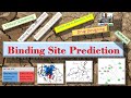 Virtual Screening | Target Binding Site Prediction / Identification || Drug Discovery || P2c-3