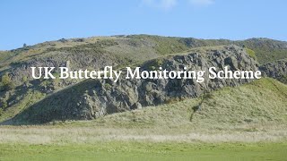 UK Butterfly Monitoring Scheme