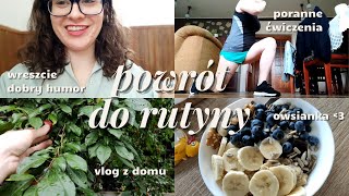 POWRÓT DO RUTYNY, lepsze dni, vlog z domu | weekendowy vlog