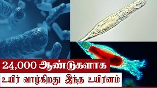 24,000 years ஆச்சர்யம் | உறைந்த நிலையில் உயிர் வாழ்ந்த உயிரினம்.