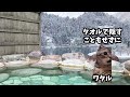 男1人で北海道のとある混浴温泉に行ったら思わぬハプニングがww 猫ミーム 猫マニ