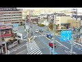 【live】豊中ロマンチック街道 ライブカメラ toyonaka romantic road live camera