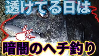 【チヌキューブ】東京湾奥　透けてる日は暗闇でへチ釣り！【アオイソメ】