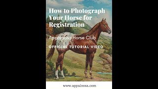 ApHC Registration Photos Tutorial