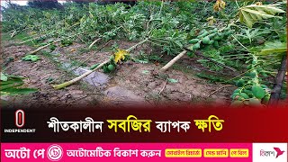 টানা দু'দিনের বৃষ্টিতে পানিতে তলিয়ে গেছে জমি, নষ্ট হচ্ছে বীজতলা | Crops Damage | Independent TV