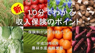 新10分で分かる収入保険のポイント