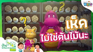 เห็ดไม่ใช่ต้นไม้นะ | บ้านนักวิทยาศาสตร์น้อย