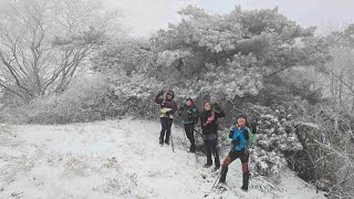 백두대간(복성이재~사치재~고남산~여원재) 당일 남진('24.12.15. 여행트레킹)