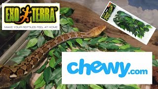 Exo-Terra Ficus Silk Plant REVIEW - Chewy Influencer Special