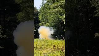 take out the papers and the trash - 223 vs reactive target #shorts #explosive #explosion