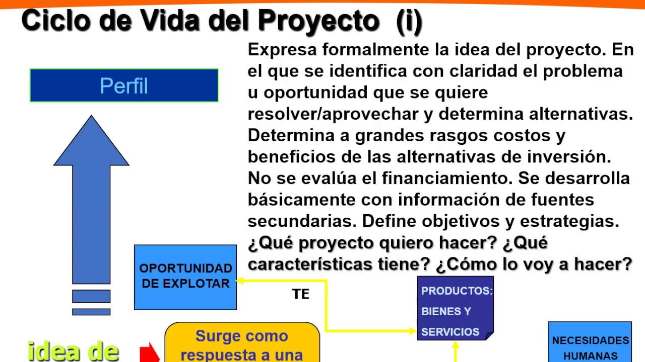 CICLO VITAL DE UN PROYECTO DE INVERSION - YouTube