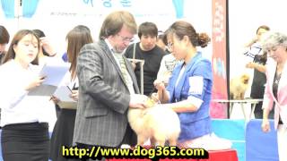 MAY 29 2016 KOREA KENNEL FEDERATION DOG SHOW