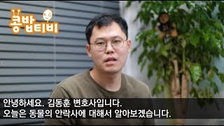 [콩밥티비펫] 동물의 안락사 합법일까요, 불법일까요.